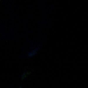 Meet your Posher, Jaden